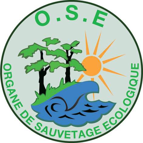 OSE logo