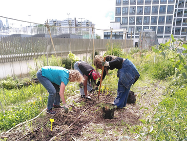 Jardinez sur le toit de l'école Eva Kotchever