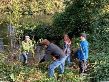 Entretien du jardin-forêt