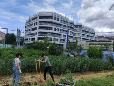 Jardinez et bricolez à Terre Terre