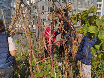Journée "Tous Ô Potager" : visite et jardinage avec Veni Verdi (18ème)
