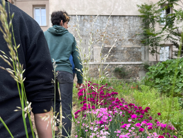 Venez embellir le jardin du Campus Necker avec Les Invasifs