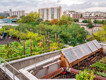 Venez embellir le jardin du collège Germaine Tillion