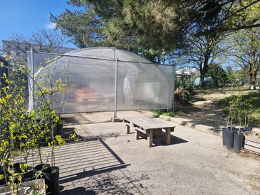 Savez-vous planter les choux