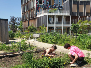Entretenir le jardin d'Odette